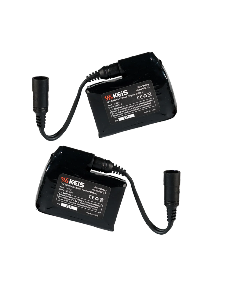 KEIS 4000mAh GLOVES BATTERY SET W/ MULTINATIONAL CHARGER – Strath Moto