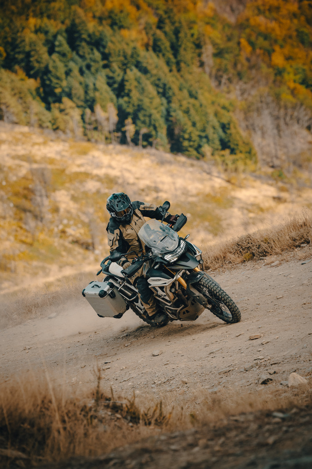 MP3R0225_1080x.jpg?v=1714791506