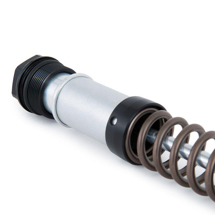 OHLINS FORK CARTRIDGES NIX 22 NINET (2016 UNTIL NOW)
