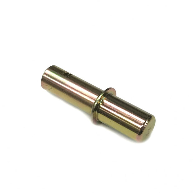 PIT BULL STANDS PIN #33, FRONT STAND