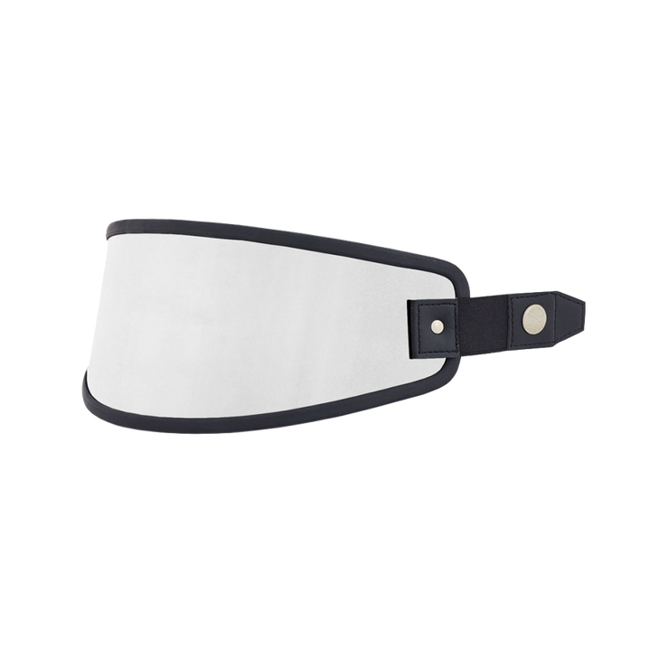 NEXX X.G100 VISOR